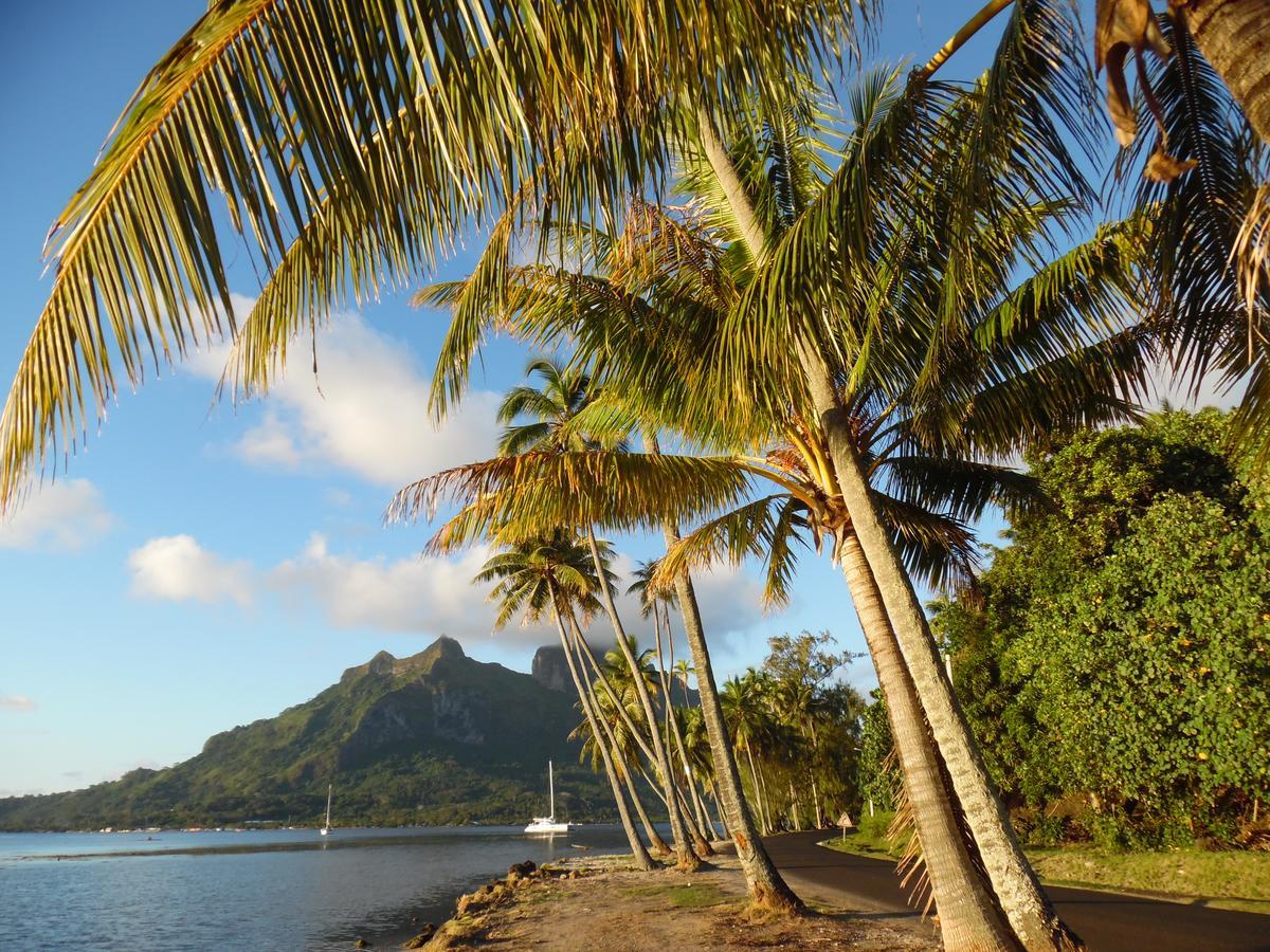 Village Temanuata Bora Bora Ngoại thất bức ảnh